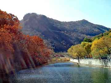 澳门精准正版免费大全14年新，山东冲孔板